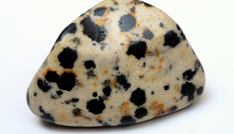 Dalmation Jasper