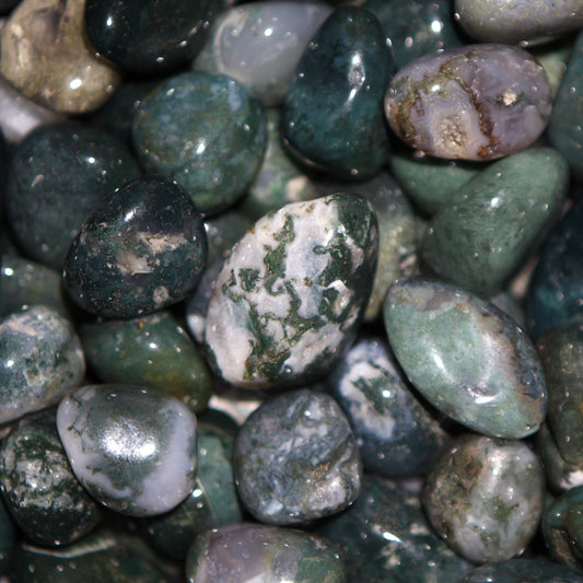 Moss Agate Tumbled Stones